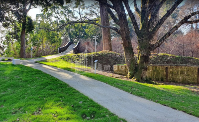 შეკვეთილი