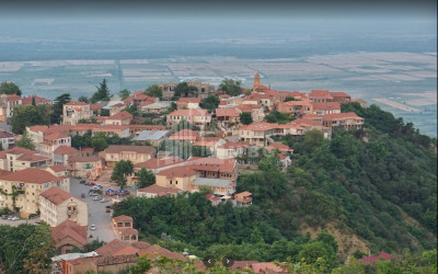 კახეთის რაიონი, სოფელი სიღნაღი