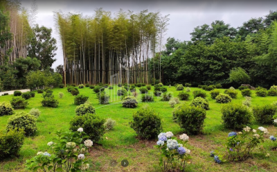 შეკვეთილი