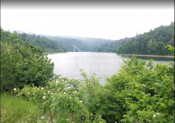 შაორის ტბა