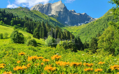 Racha - Lechkhumi, Kvemo Svaneti