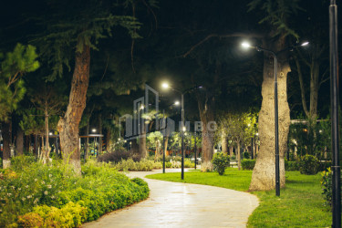 თბილისი