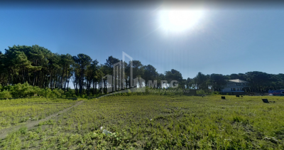 შეკვეთილი