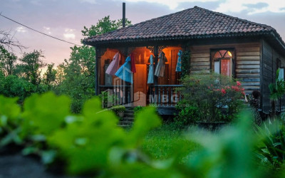 Гурии
