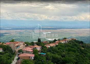 Кахетинский район, село Сигнахи