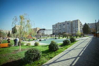 თბილისი