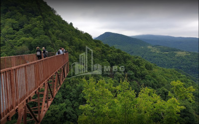 იმერეთი