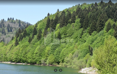 შაორის ტბა