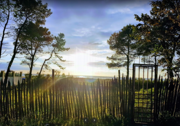 შეკვეთილი