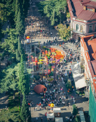 თბილისი