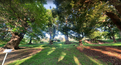 შეკვეთილი