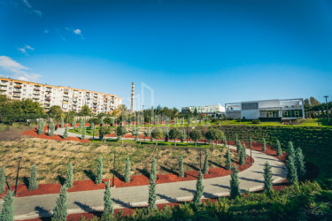 თბილისი