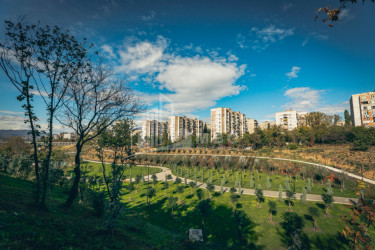 თბილისი