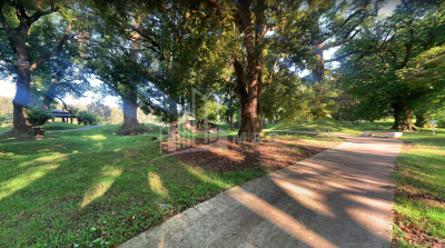 შეკვეთილი