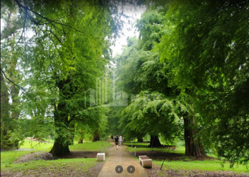 შეკვეთილი