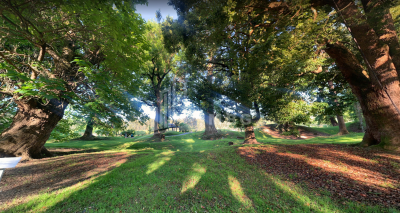 შეკვეთილი