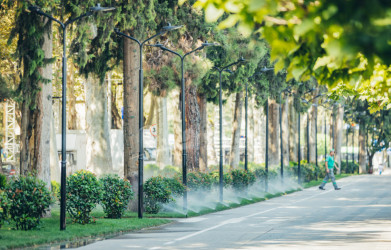 თბილისი