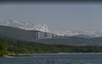 შაორის ტბა