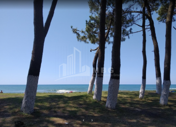 შეკვეთილი