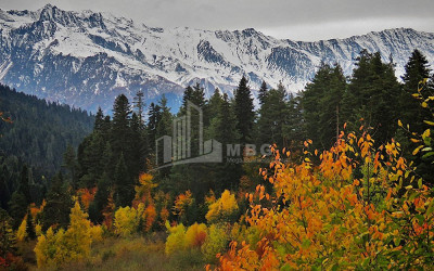 იმერეთი