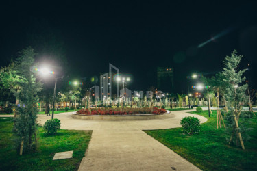 თბილისი