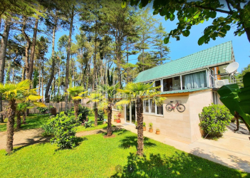 შეკვეთილი