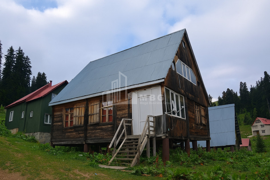 For Sale House Villa Bakhmaro Chokhatauri Municipalities of Guria