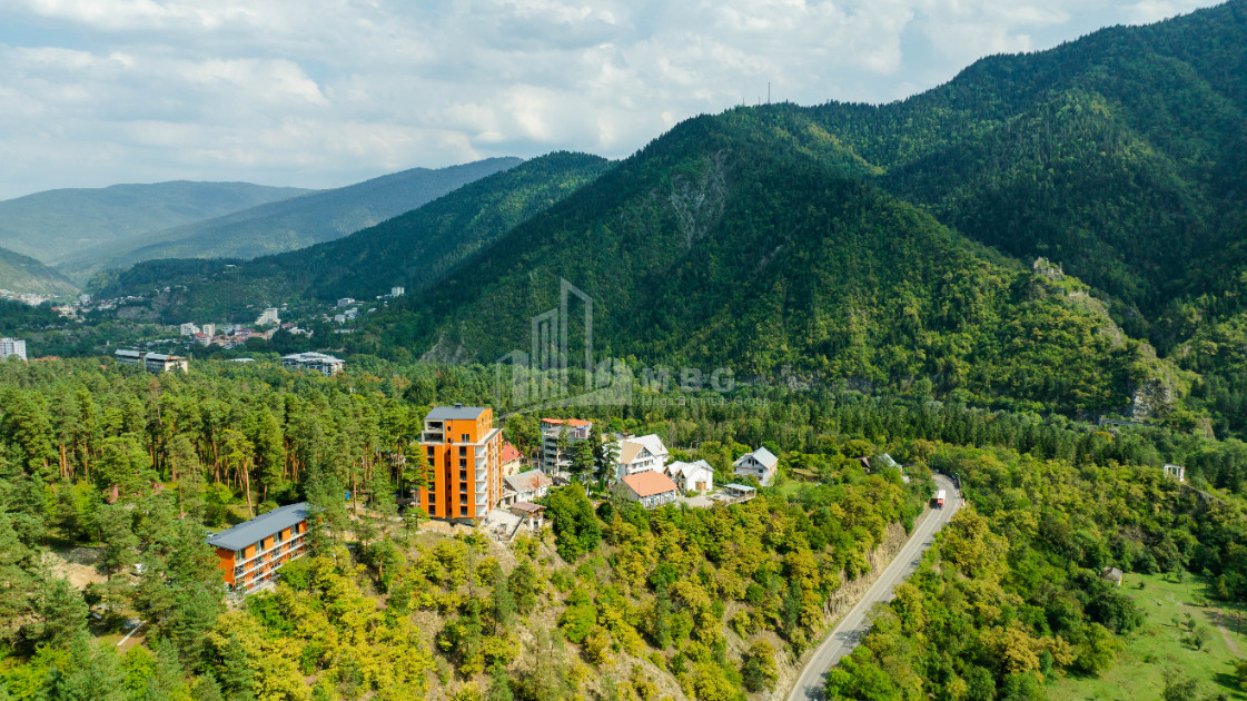 For Sale Commercial Likani Borjomi Samtskhe   Javakheti