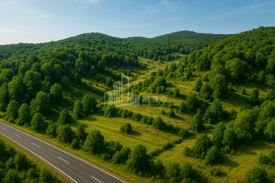 For Sale Land Cheremi Gurjaani Kakheti