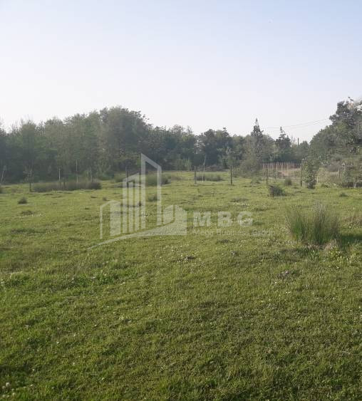 For Sale Country Land, in Lanchkhuti