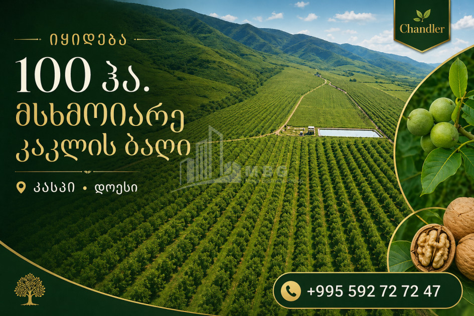 For Sale Walnut orchard Land In Does, Kaspi