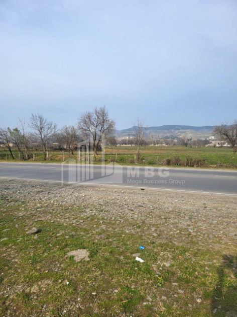 იყიდება მიწის ნაკვეთი ქვემო თელეთი გარდაბნი ქვემო ქართლი