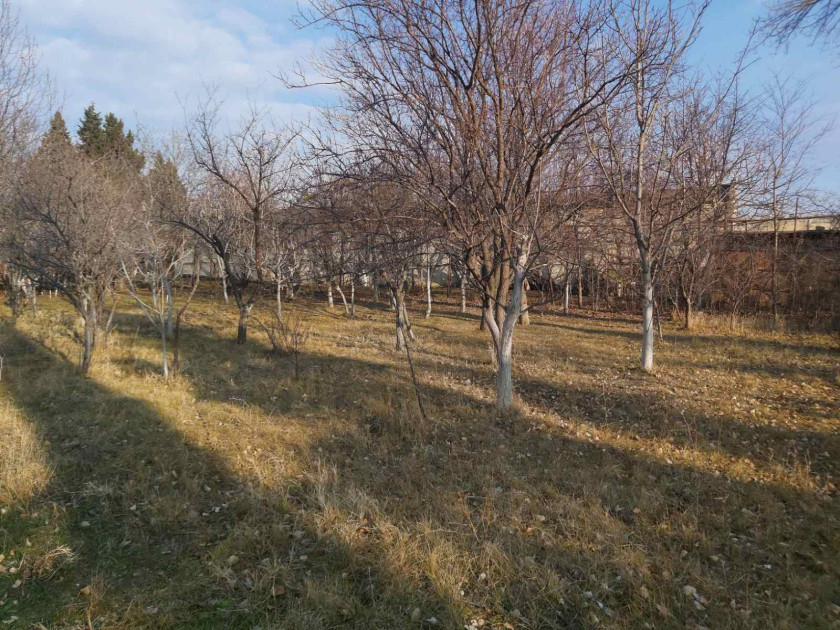 Продается Земля Деревня Дигоми Сабуртальский Район Тбилиси