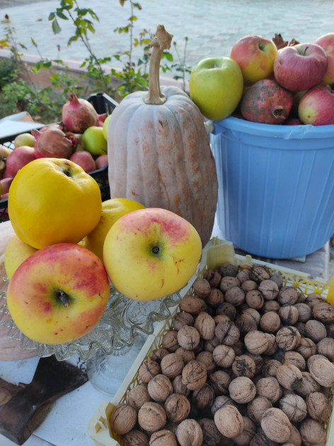 იყიდება სამოსახლო მიწის ნაკვეთი, მუხიანის დაჩები