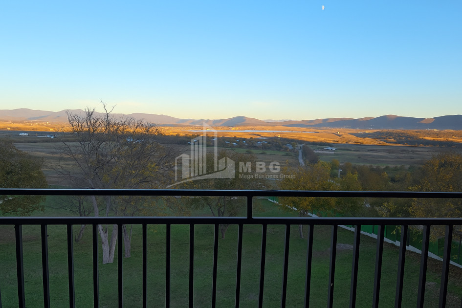 For Sale Commercial Bazaleti Dusheti Mtskheta   Mtianeti