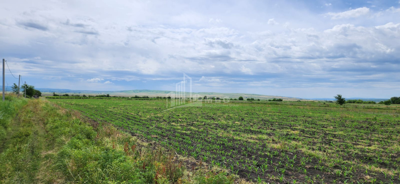 Продается Земля Бадиаури Сагареджо Кахети