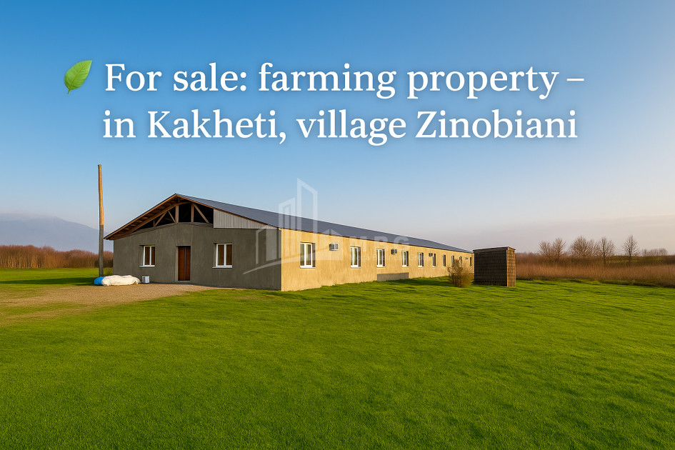 Продается Земля Зинобиани Кварели Кахети
