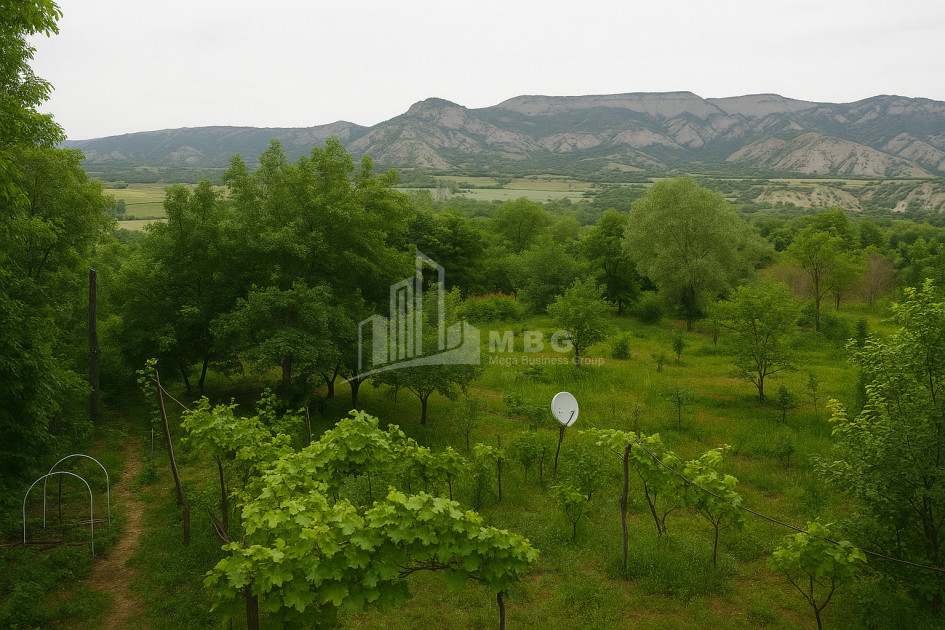 For Sale House Villa Dzegvi Mtskheta Mtskheta   Mtianeti