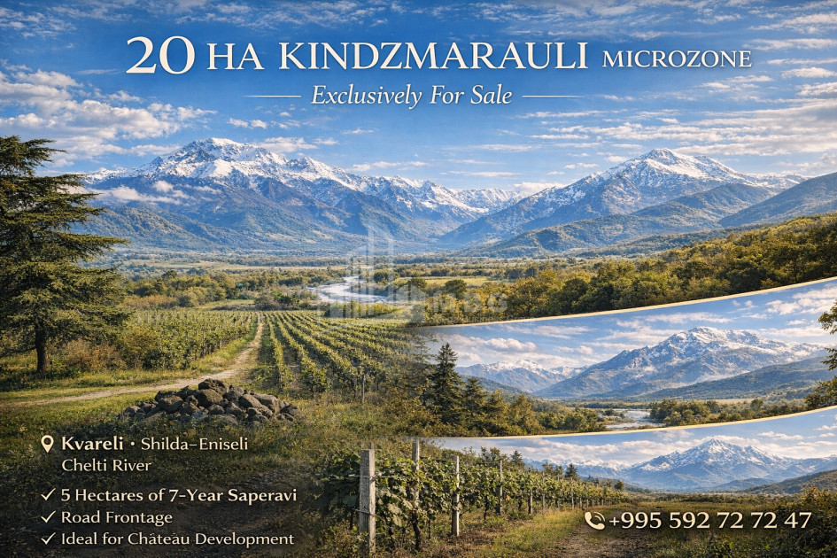 For Sale Vineyard - Chateau Land In Eniseli, Kvareli