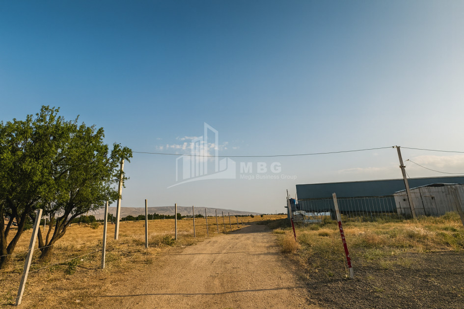 For Sale Land Kvemo Kartli