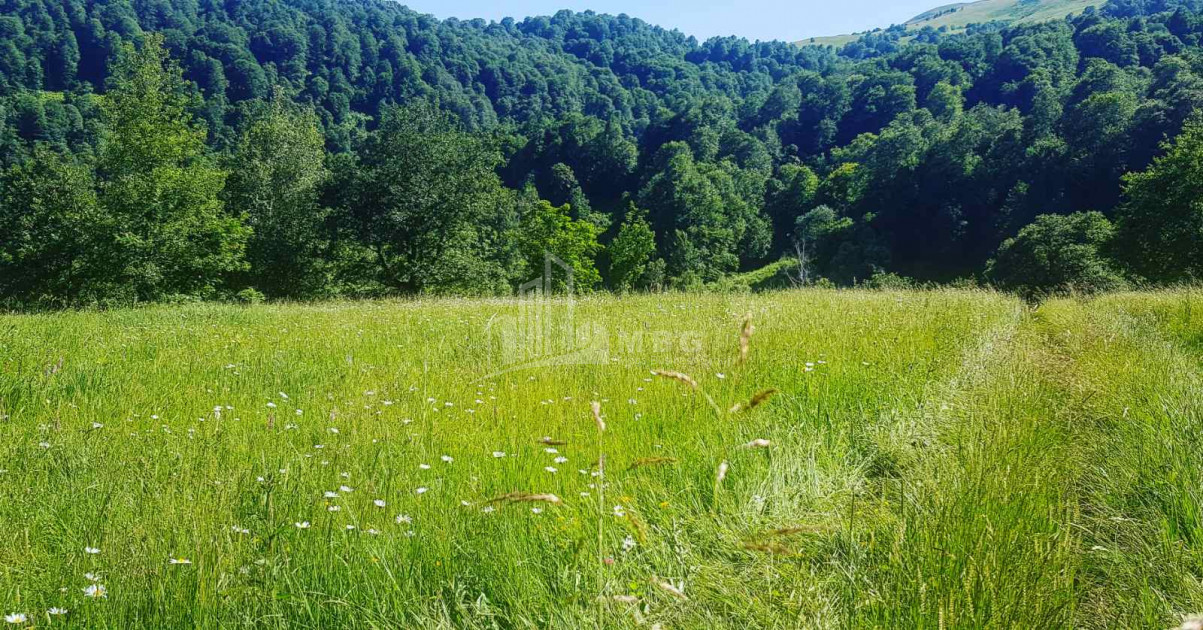 For Sale Agricultural Land, in Tsikhisjvari