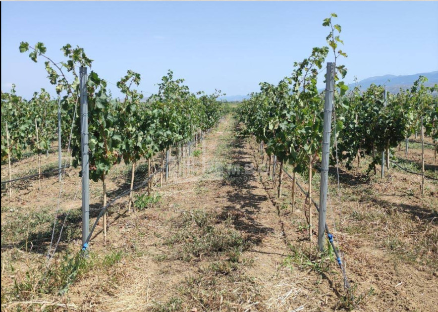 იყიდება კომერციული ფართი დოესი კასპი შიდა ქართლი