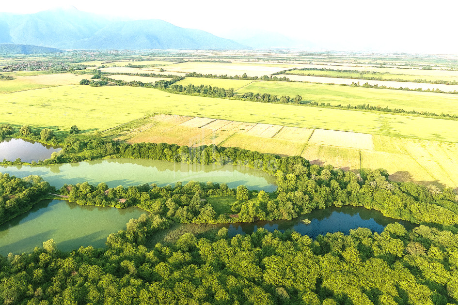 For Sale Land Kvemo Alvani Akhmeta Kakheti