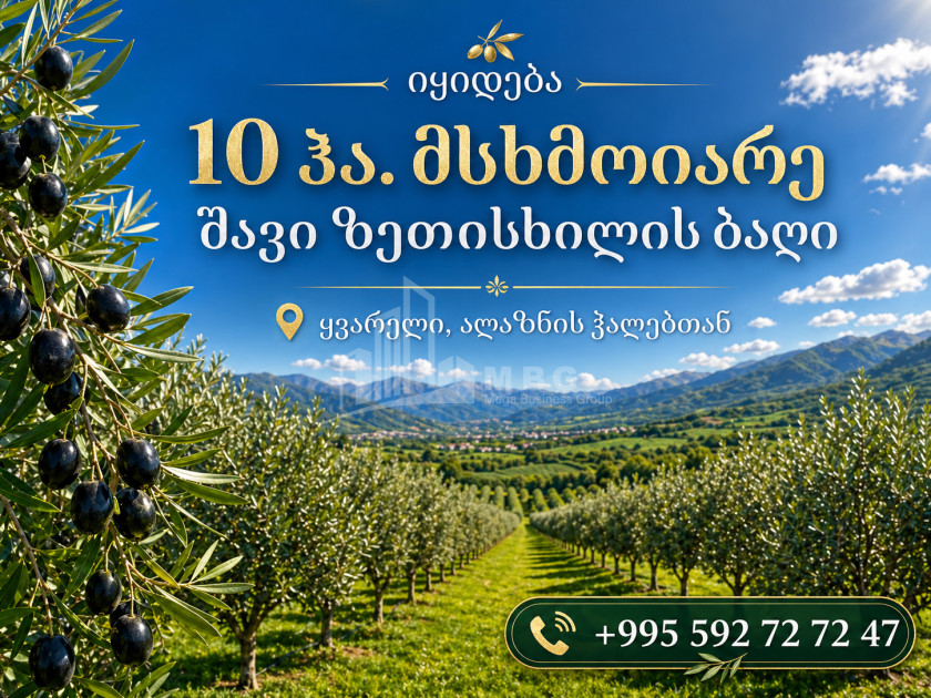 Продается Фруктовые сад Земля В Кварели