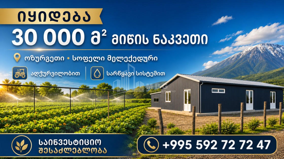 For Sale Agricultural Land In the Municipalities of Guria