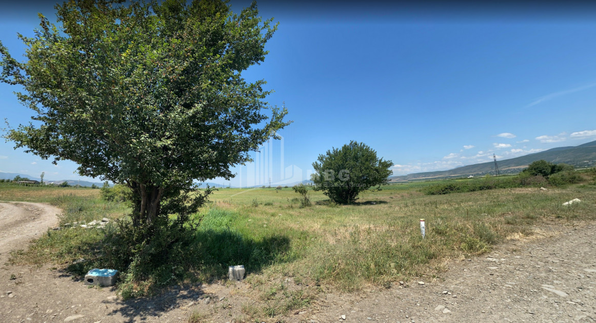 For Sale Country Land, in Tsilkani