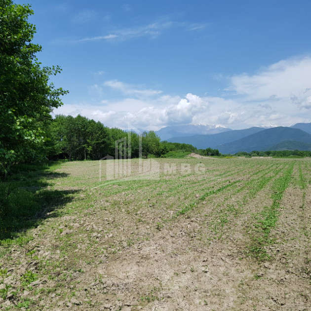 For Sale Land, Kvareli Municipality, Municipalities of Kakheti