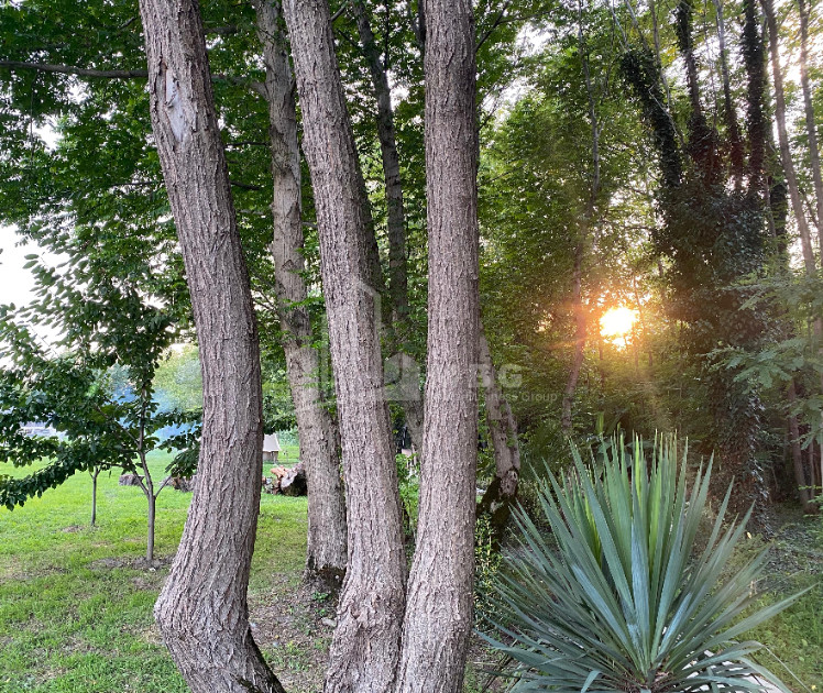 იყიდება ბიზნესი კომერციული ფართი თელავი კახეთი