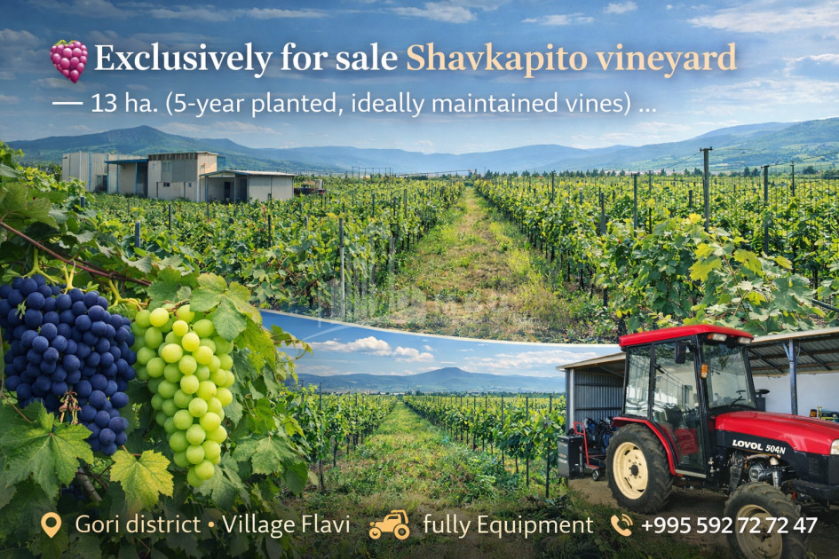 For Sale Vineyard - Chateau Land In Gori