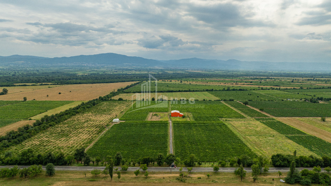 For Sale Land Napareuli Telavi Kakheti